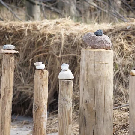 Hollerbusch Apartment