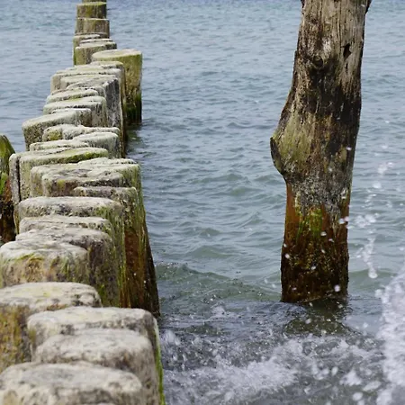 Apartment Hollerbusch