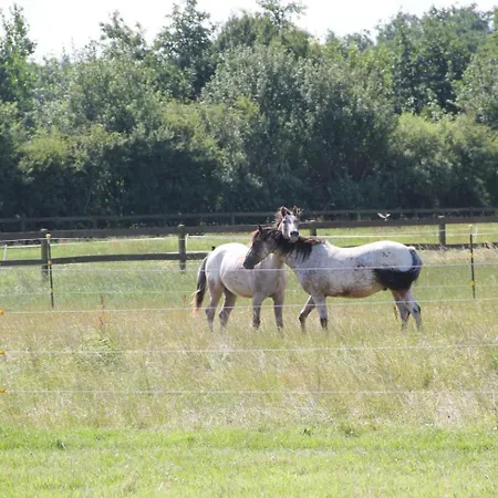 Hollerbusch Apartment Boergerende-Rethwisch