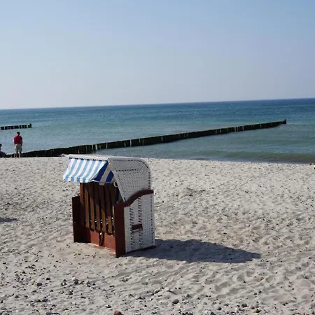 Hollerbusch Börgerende-Rethwisch